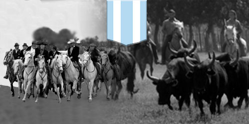 les taureaux et chevaux dela manade AUBANEL BARONCELLI SANTENCO